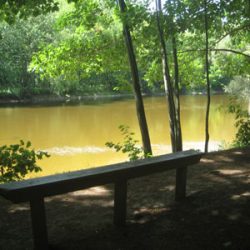 Bench-View